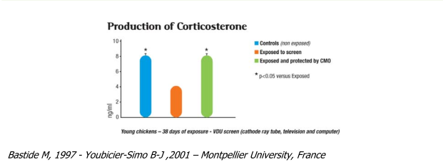 Title: corticostérone production