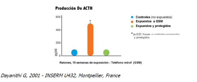 Produccion de ACTH