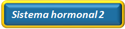 Système hormonal 2