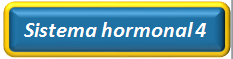 Systeme hormonal 4