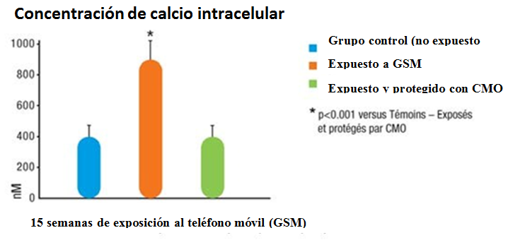 Concentracion calcio intracellular