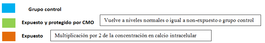 Concentracion calcio intracellular