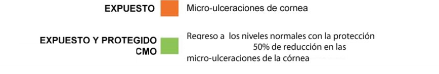 ulceracion corneal