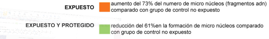 Formacion de micronucleos