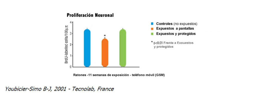 Proliferacion neuronal