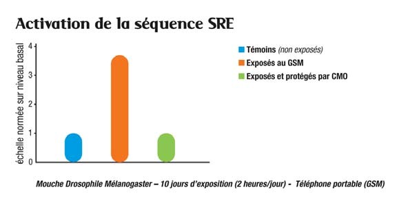 SRE Graphique