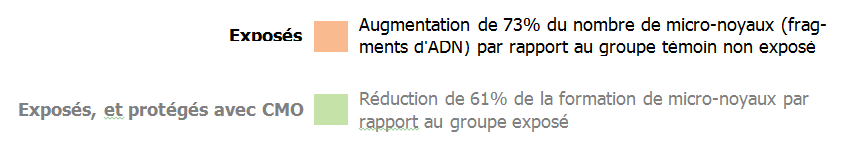 Formation de micronuclei synth