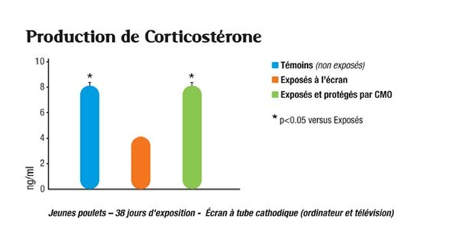 Production de corticostérone