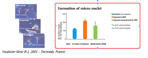 Title: formation of micro nuclei