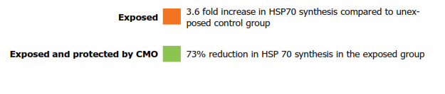 Summary HSP 70