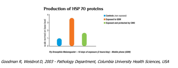 Graphic: HSP 70