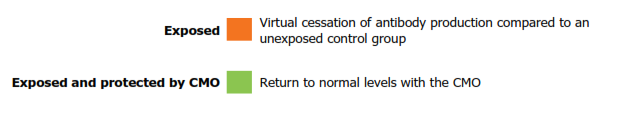 Summary Immune system