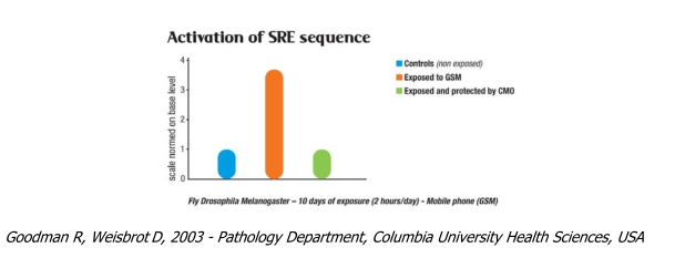 SRE Graphic