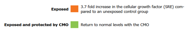 SRE Summary