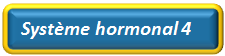 Systeme hormonal 4