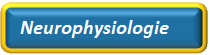 Neurophysiologie