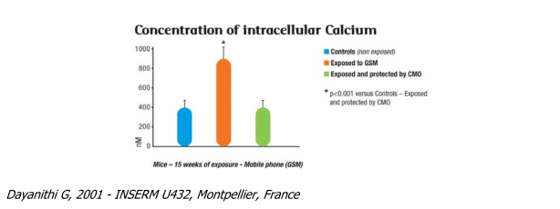 Title: calcium concentration intracellular