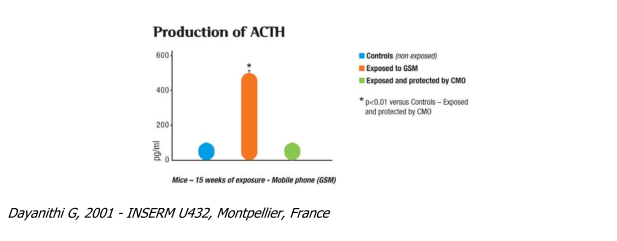 Title: production of ACTH